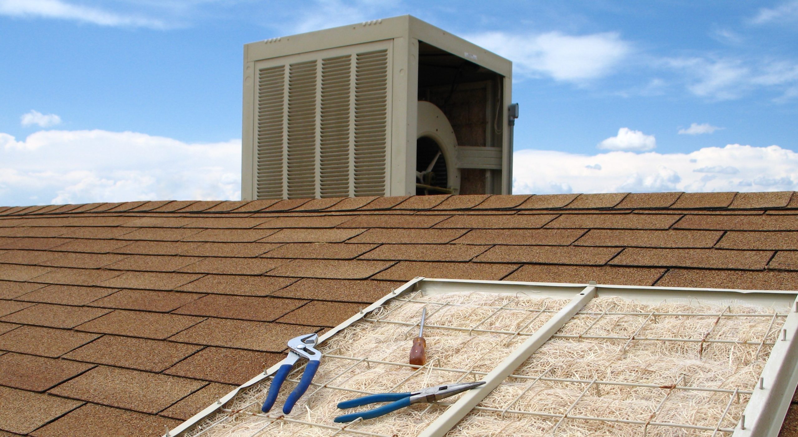 Family smiling and reading book